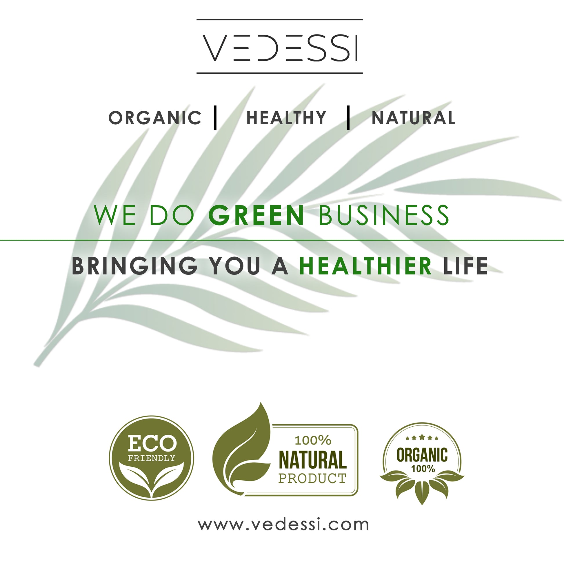 Palm Leaf Square - Plates Set - Vedessi