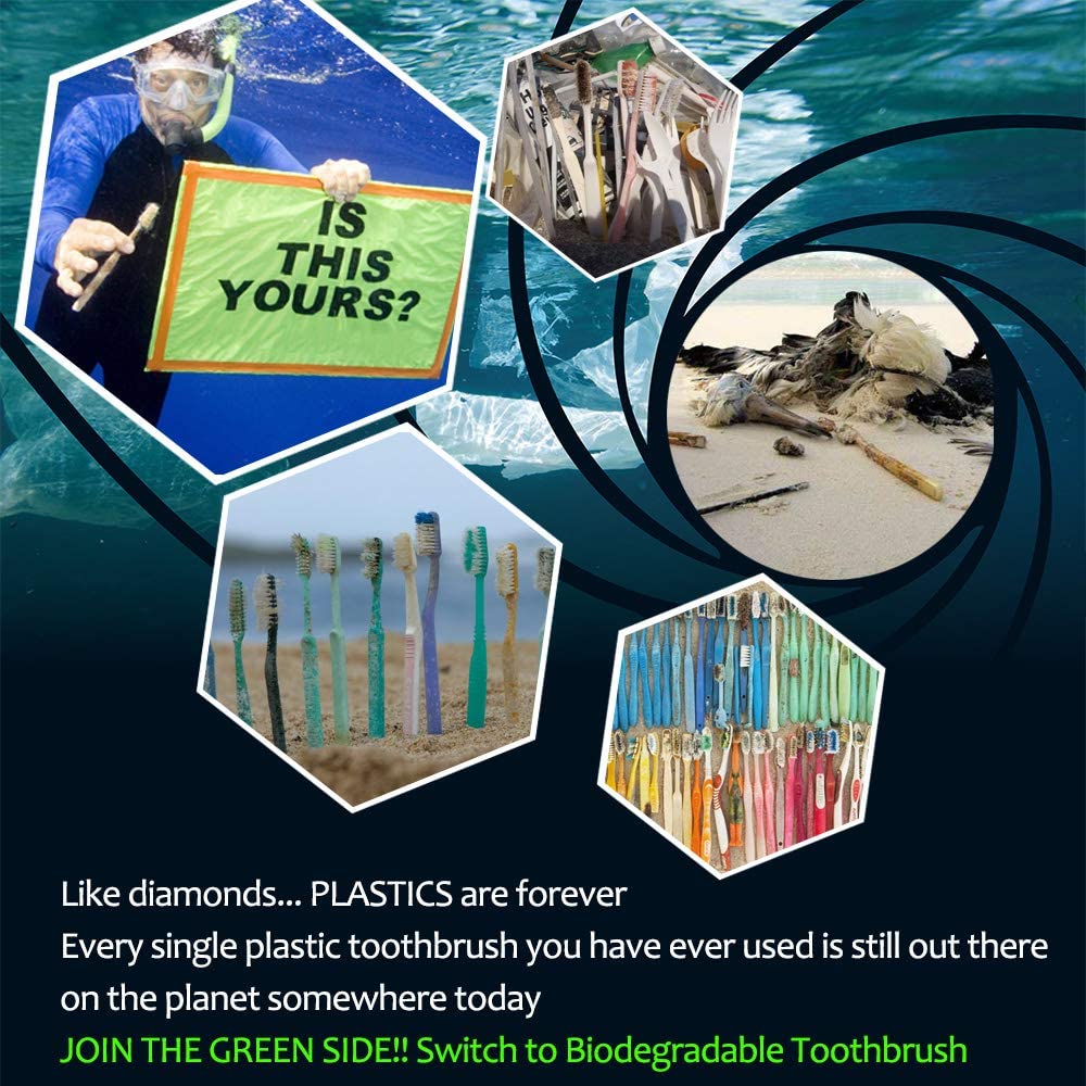 10 Pack Organic Bamboo Toothbrush - Vedessi