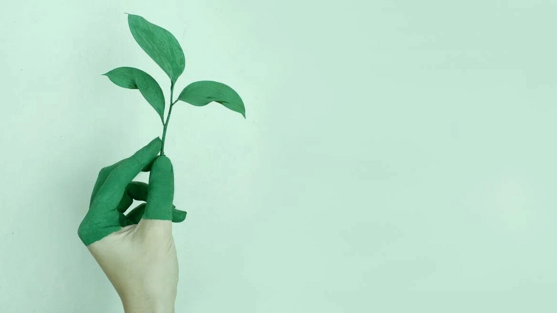 Eco-Friendly Products and Their Impact in Today’s Time