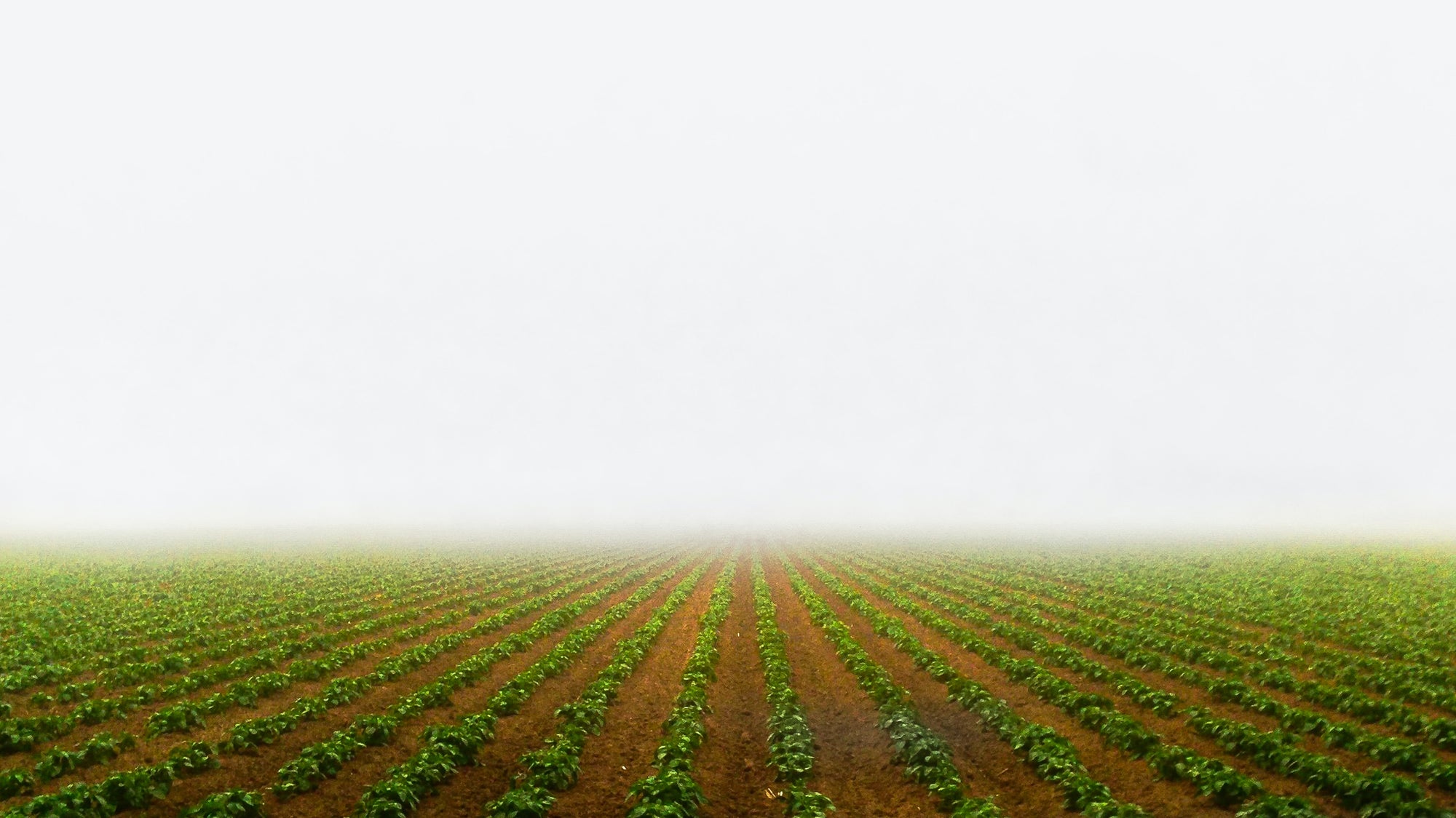 10 Habits to Swap to Eco-Friendly Lifestyle