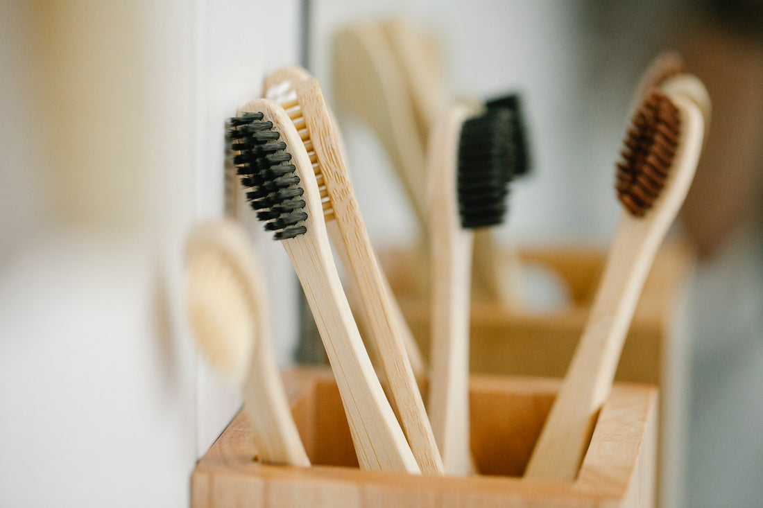 Why should you use an Eco friendly Toothbrush?