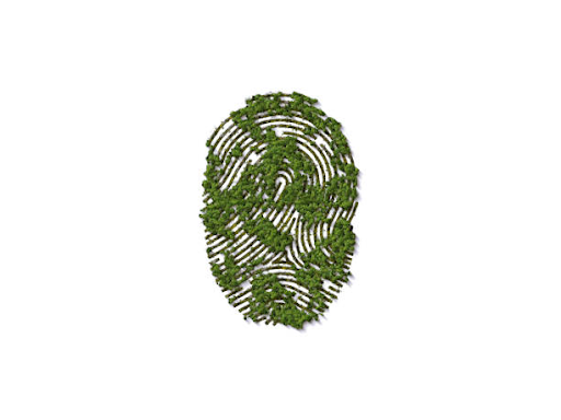 Are eco-friendly and sustainable the same?