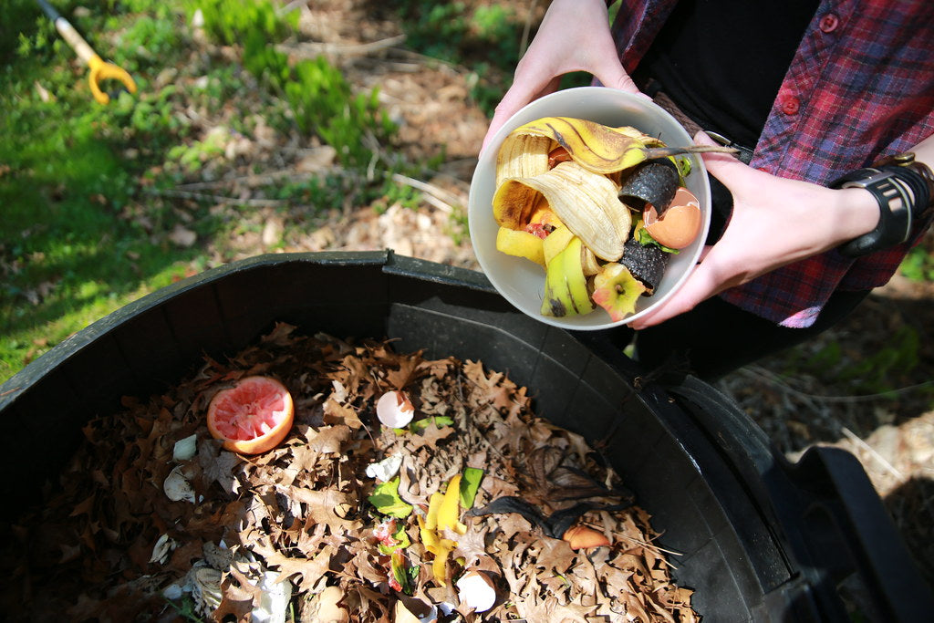 How to compost at home for better home and gardens